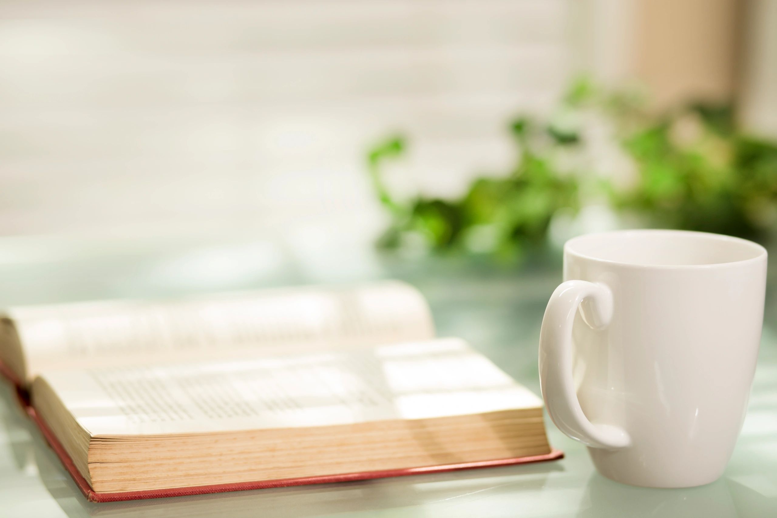Open book and coffee in a calm study setting